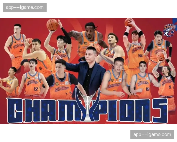 德甲篮球篮板王成CBA辽宁队引援目标，跨国人才流动活跃